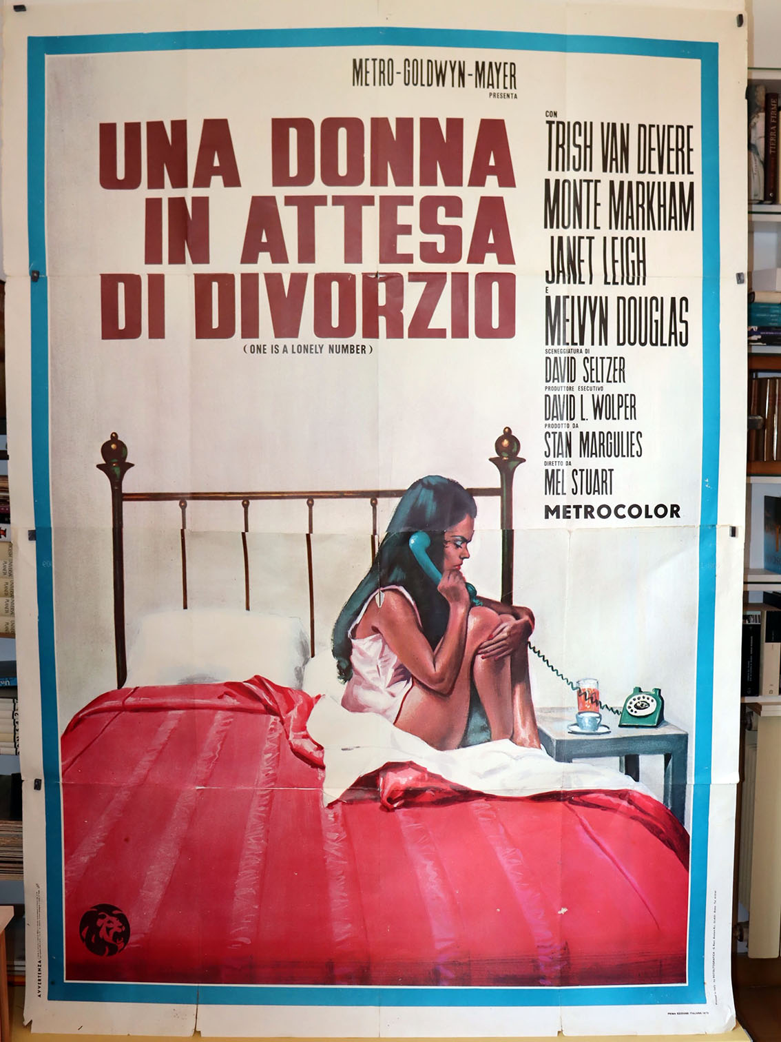 UNA DONNA IN ATTESA DI DIVORZIO