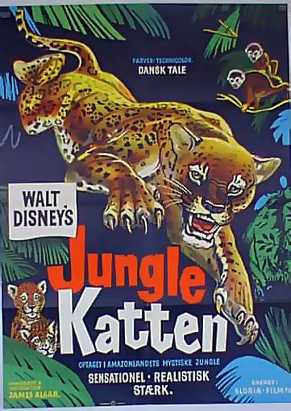 JUNGLE KATTEN