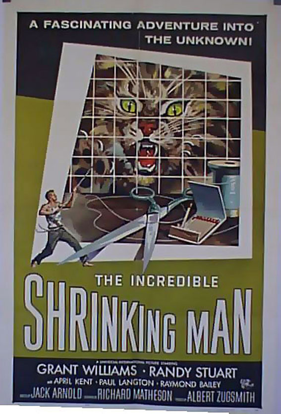 INCREDIBLE SHRINKING MAN, THE