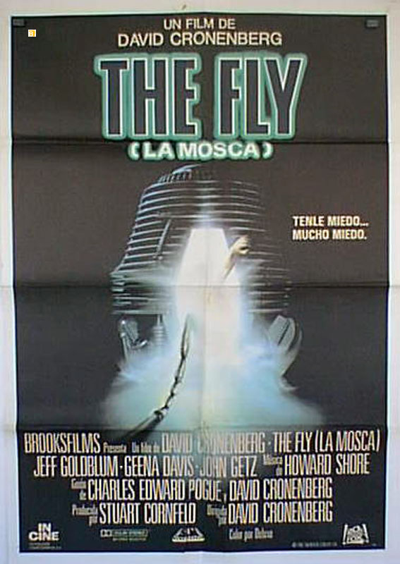 FLY, THE