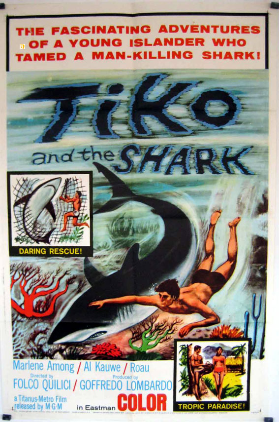 TIKO AND THE SHARK