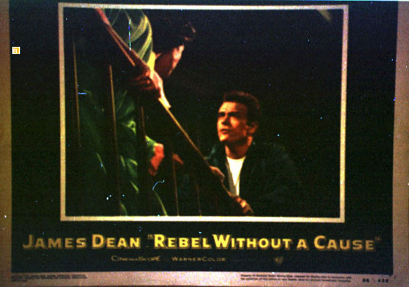 REBEL WITHOUT A CAUSE