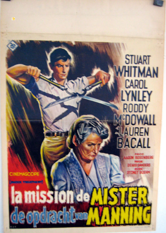 MISSION DE MISTER MANNING, LA