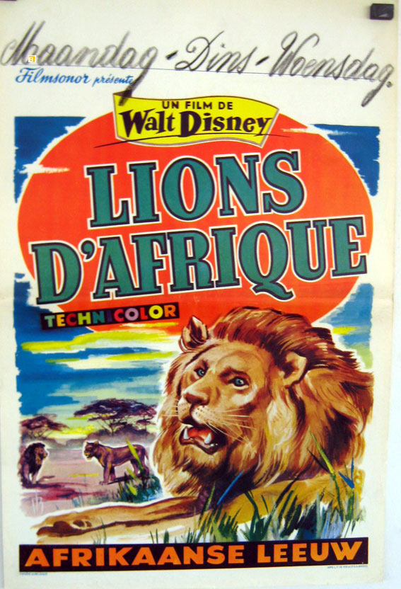 LIONS DAFRIQUE