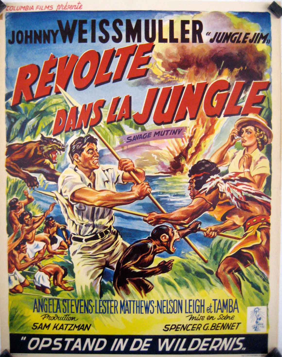 REVOLTE DANS LA JUNGLE