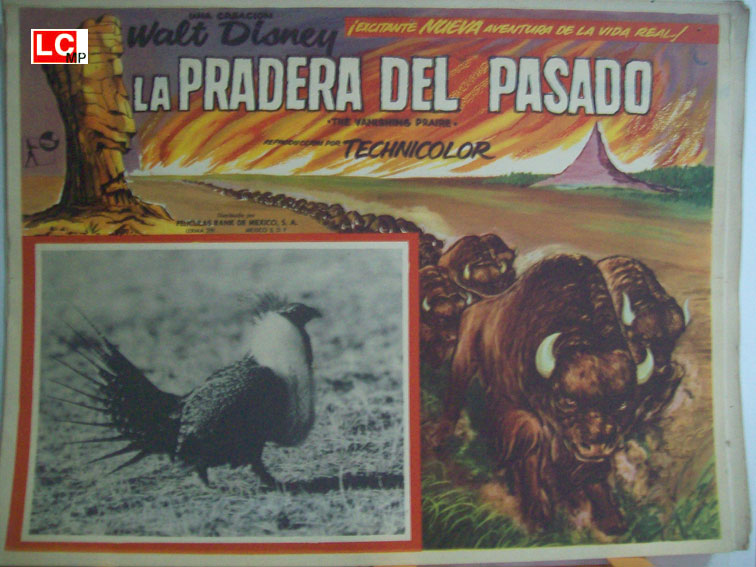 LA PRADERA DEL PASADO