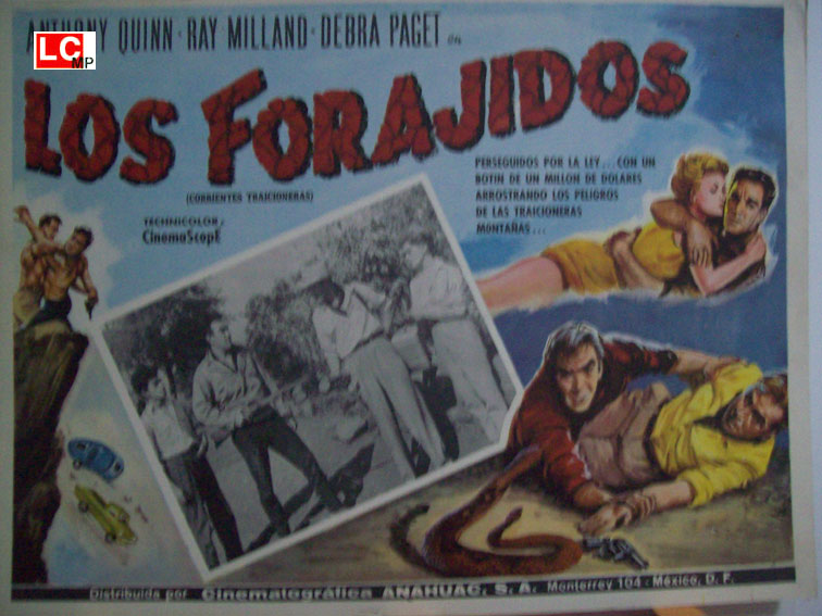 LOS FORAJIDOS