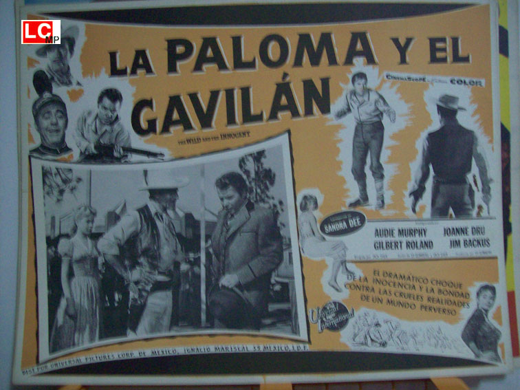 LA PALOMA Y EL GAVILAN