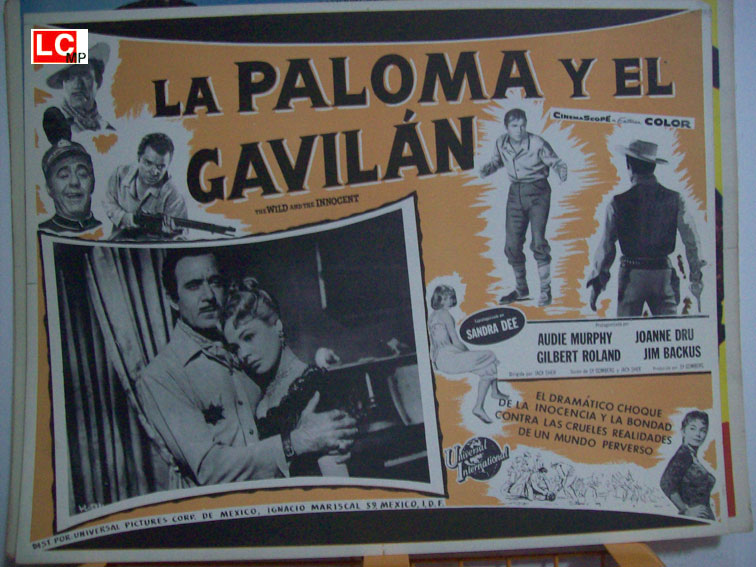 LA PALOMA Y EL GAVILAN