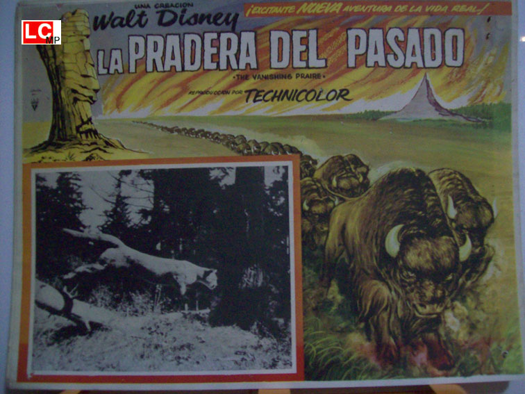 LA PRADERA DEL PASADO