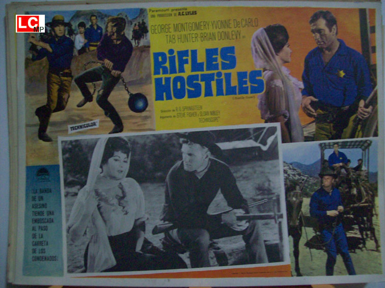 RIFLES HOSTILES