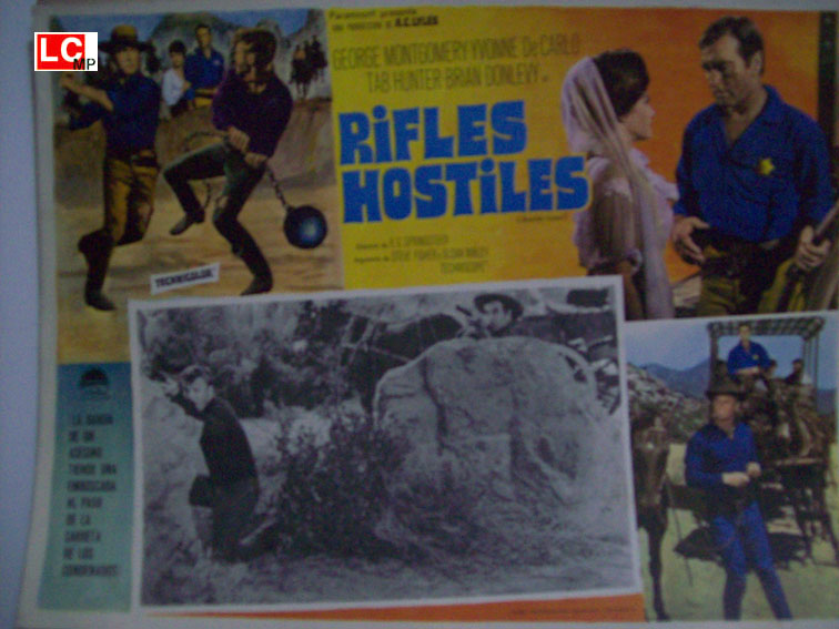 RIFLES HOSTILES