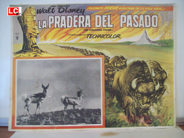 LA PRADERA DEL PASADO