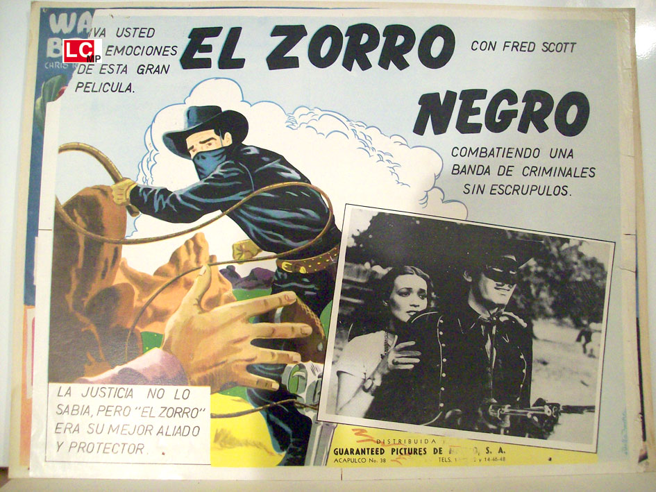 EL ZORRO NEGRO