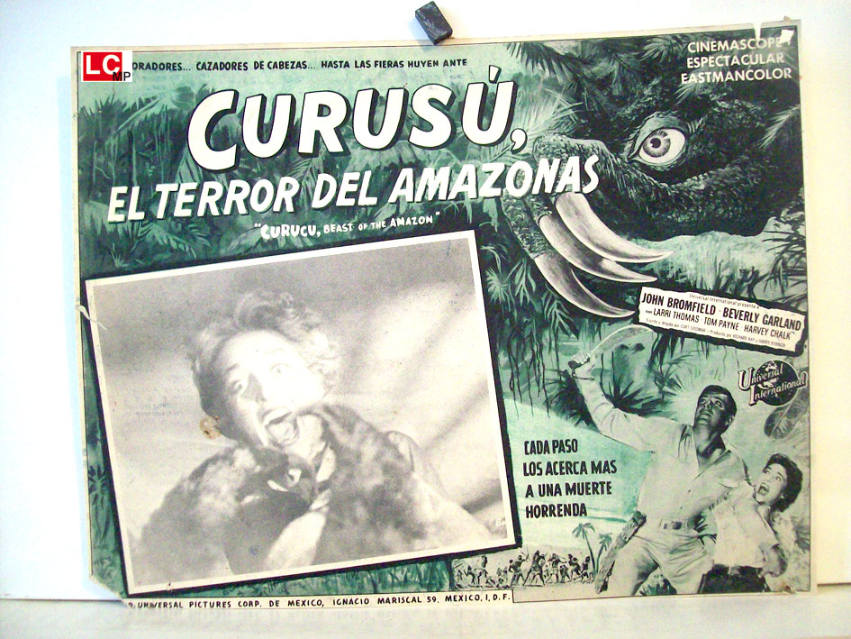 CURUSU, EL TERROR DEL AMAZONAS