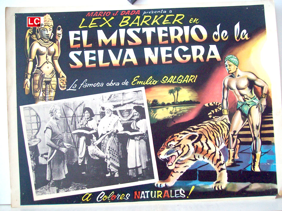 EL MISTERIO DE LA SELVA NEGRA