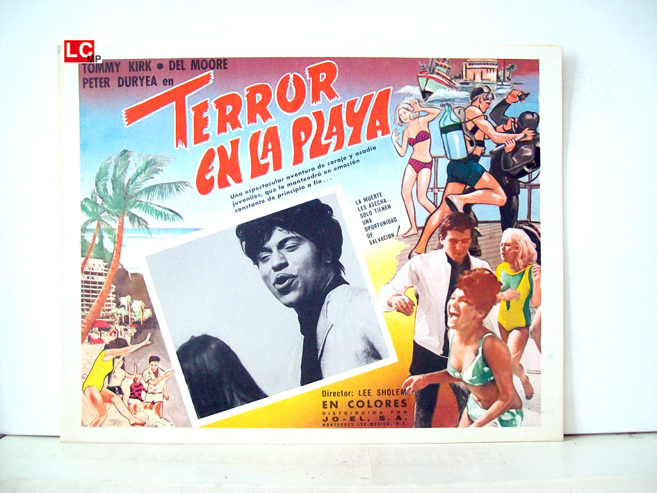 TERROR EN LA PLAYA