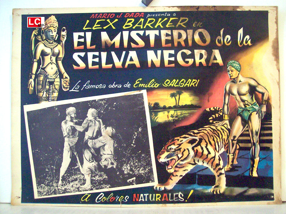 EL MISTERIO DE LA SELVA NEGRA