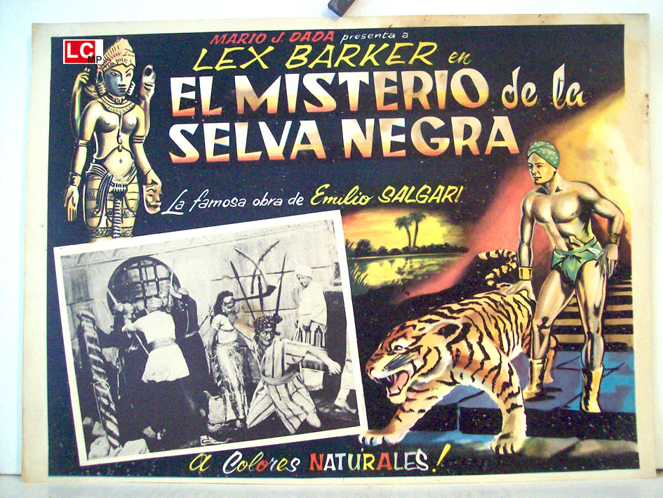 EL MISTERIO DE LA SELVA NEGRA