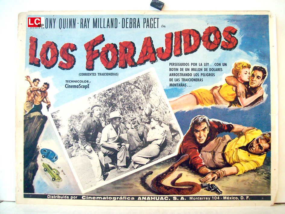 LOS FORAJIDOS