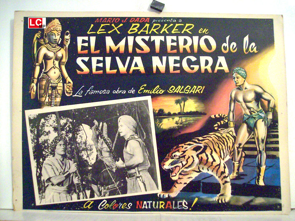 EL MISTERIO DE LA SELVA NEGRA