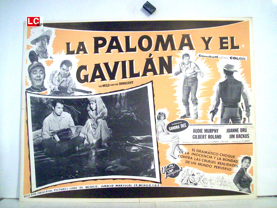 LA PALOMA Y EL GAVILAN