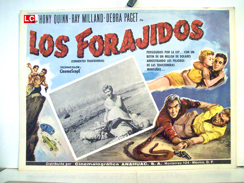 LOS FORAJIDOS