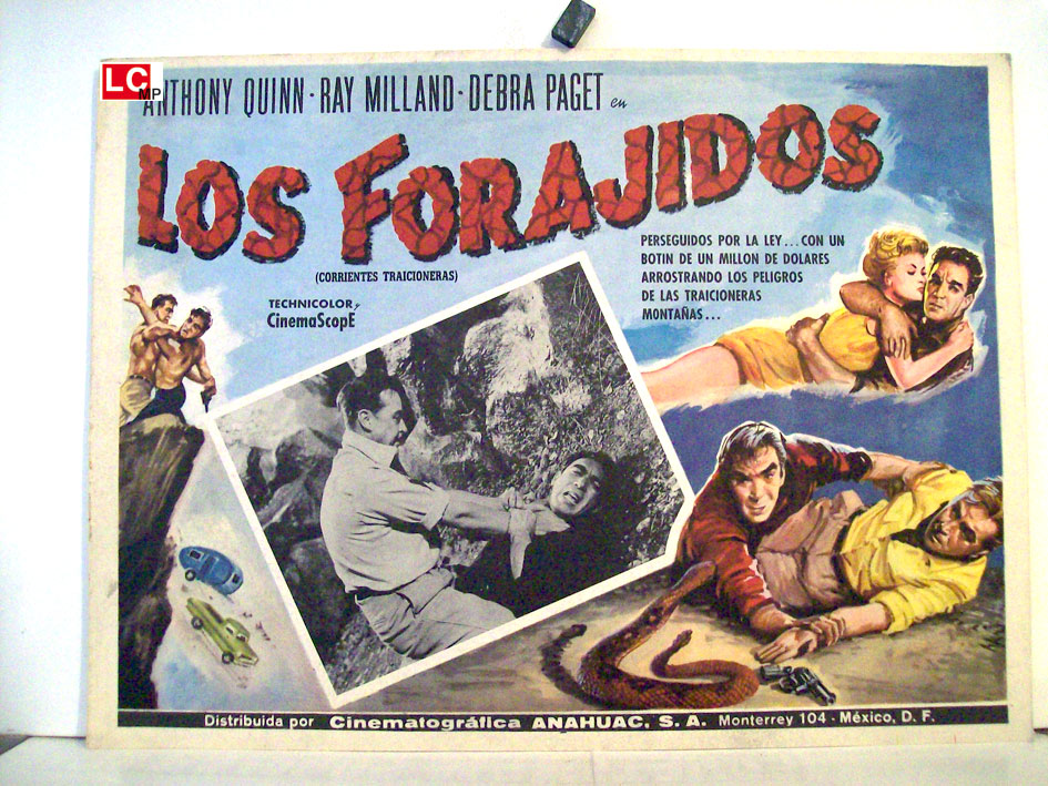 LOS FORAJIDOS