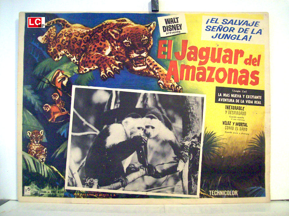 EL JAGUAR DEL AMAZONAS