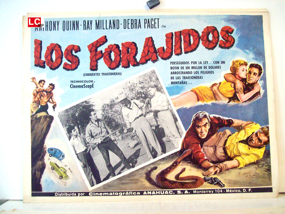 LOS FORAJIDOS