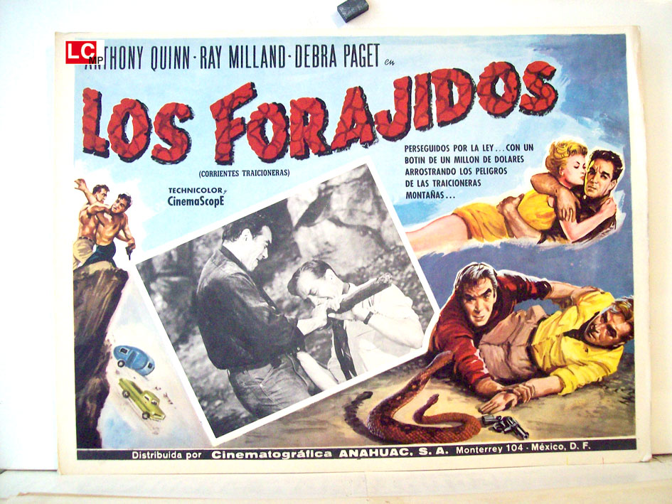 LOS FORAJIDOS