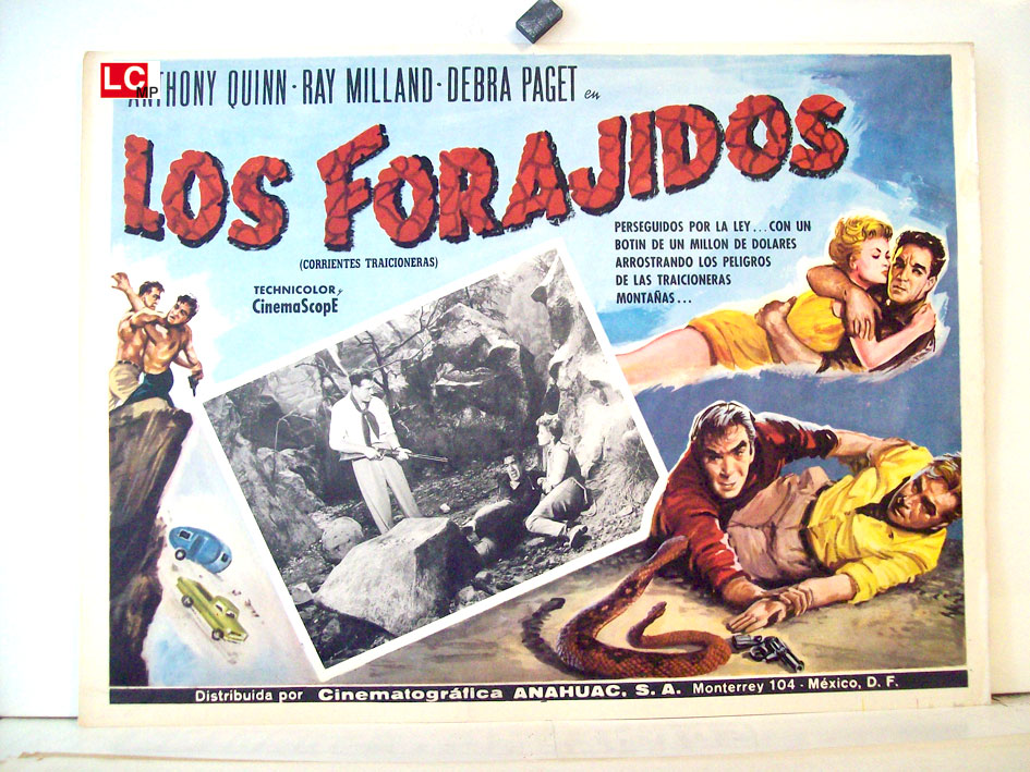 LOS FORAJIDOS