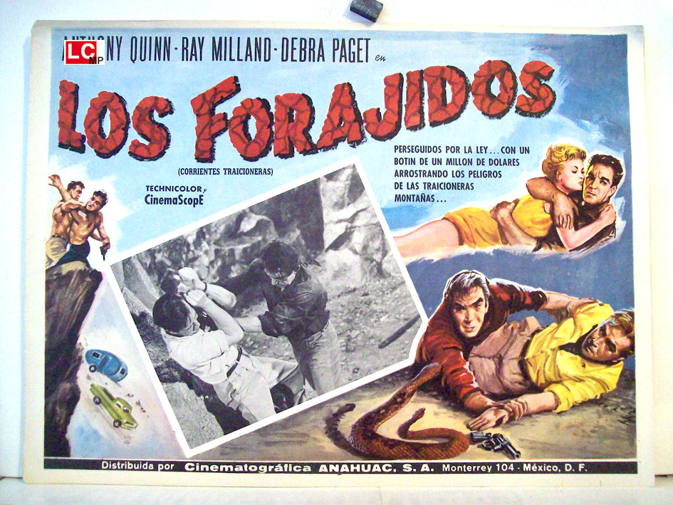 LOS FORAJIDOS