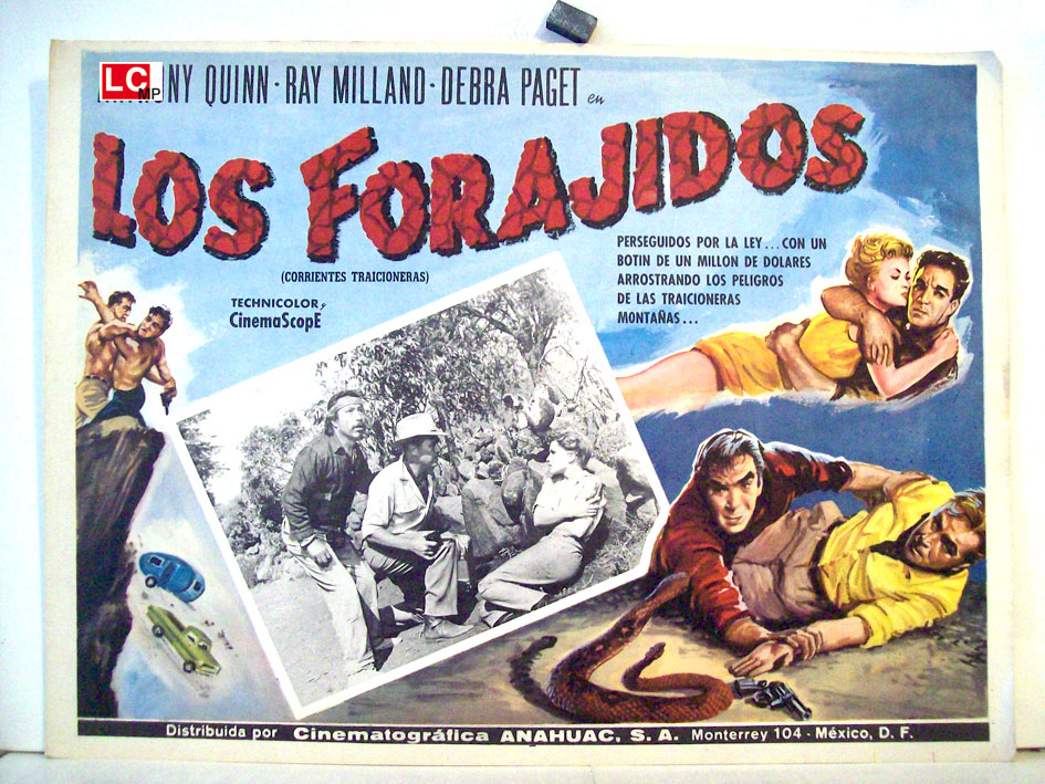 LOS FORAJIDOS