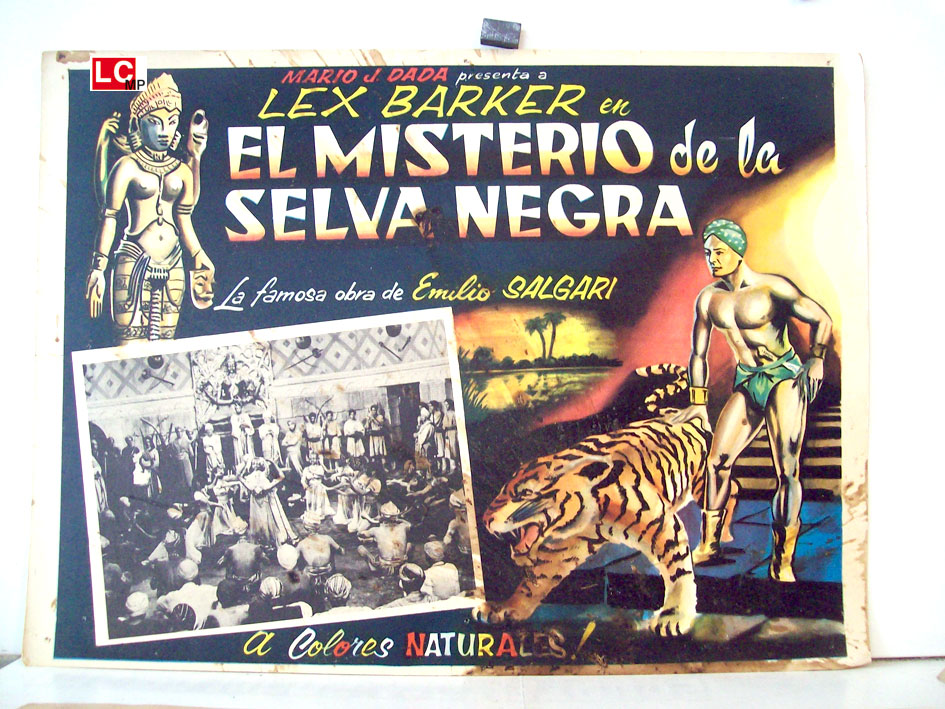 EL MISTERIO DE LA SELVA NEGRA