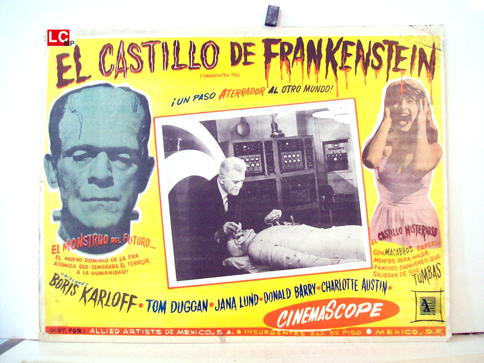 EL CASTILLO DE FRANKENSTEIN