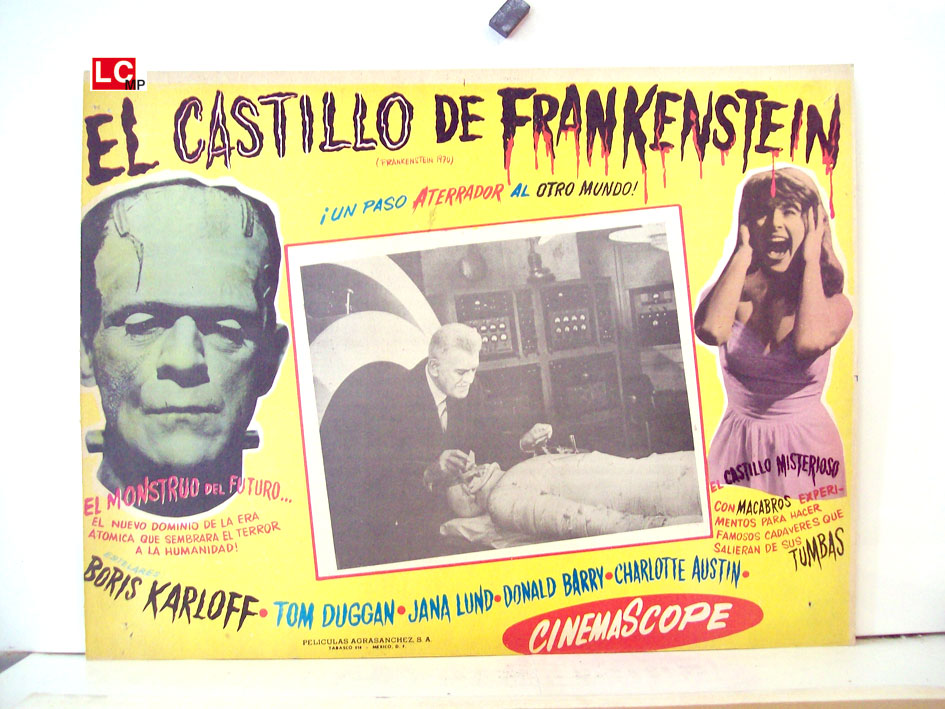 EL CASTILLO DE FRANKENSTEIN