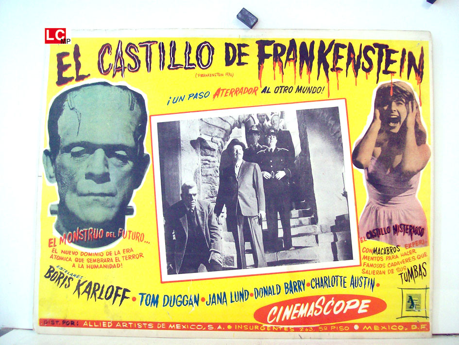 EL CASTILLO DE FRANKENSTEIN