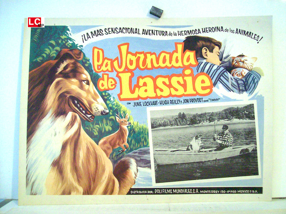 LA JORNADA DE LASSIE