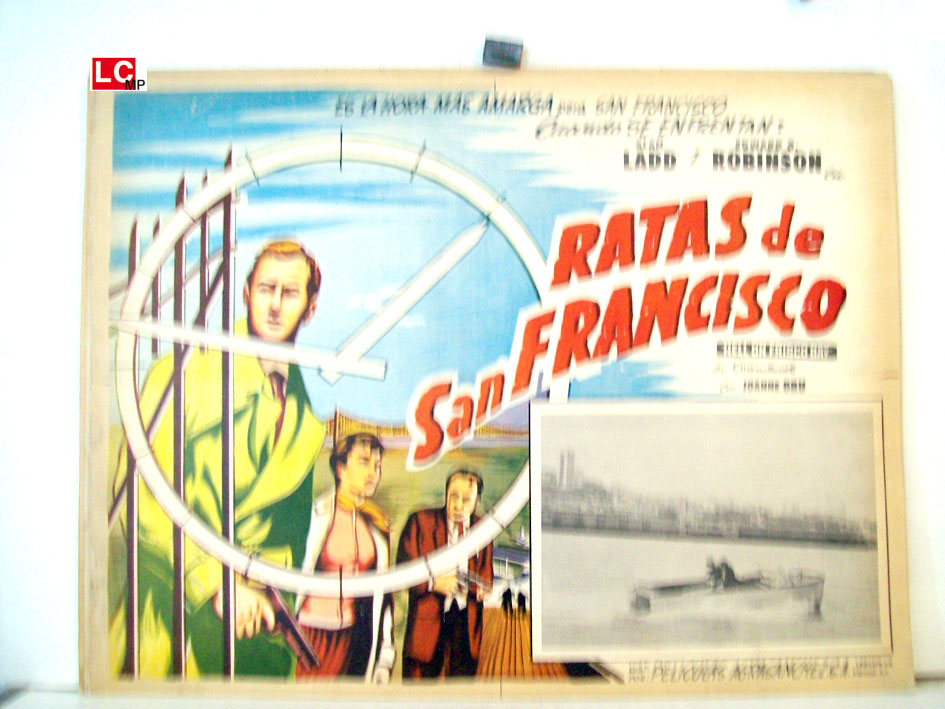 RATAS DE SAN FRANCISCO