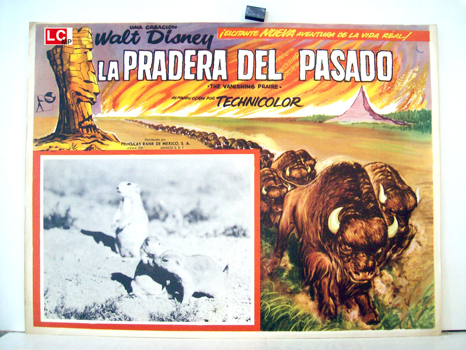 LA PRADERA DEL PASADO