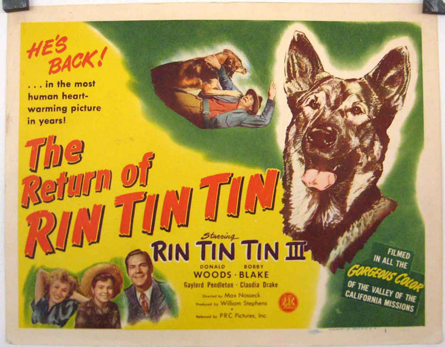 The Return of Rin Tin Tin