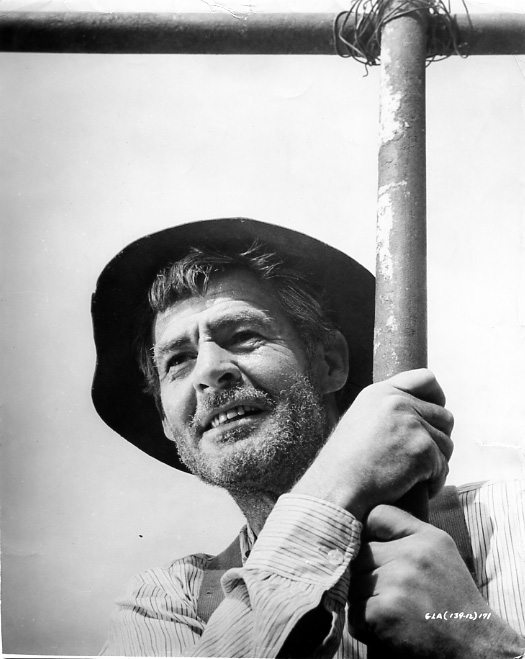 ROBERT RYAN