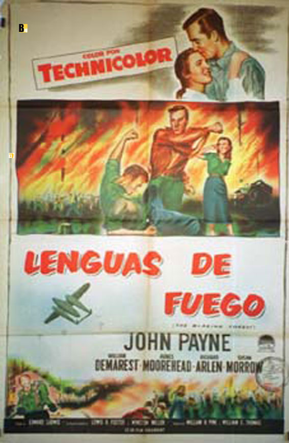 LENGUAS DE FUEGO