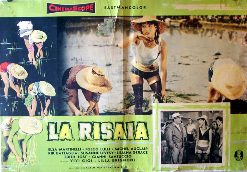 La risaia