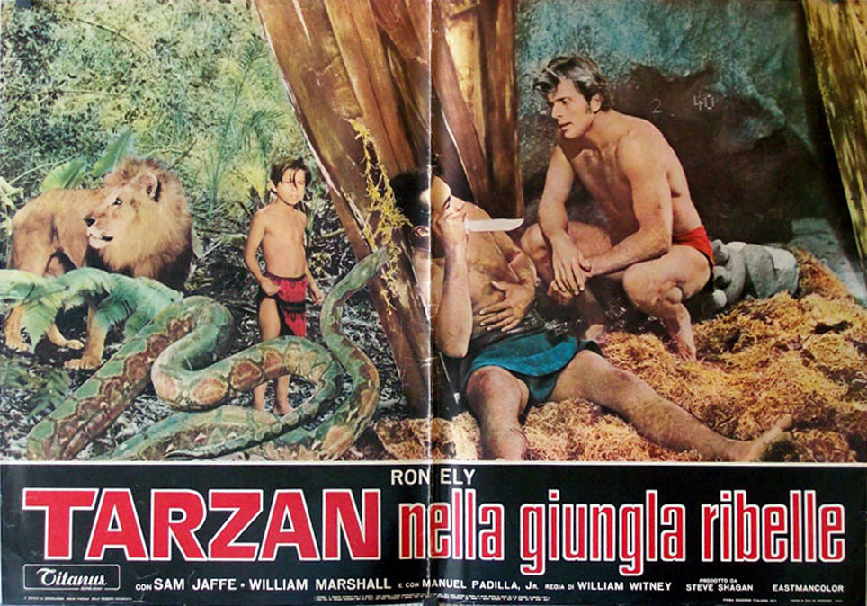 TARZAN ENLLA GIUNGLA RIBELLE